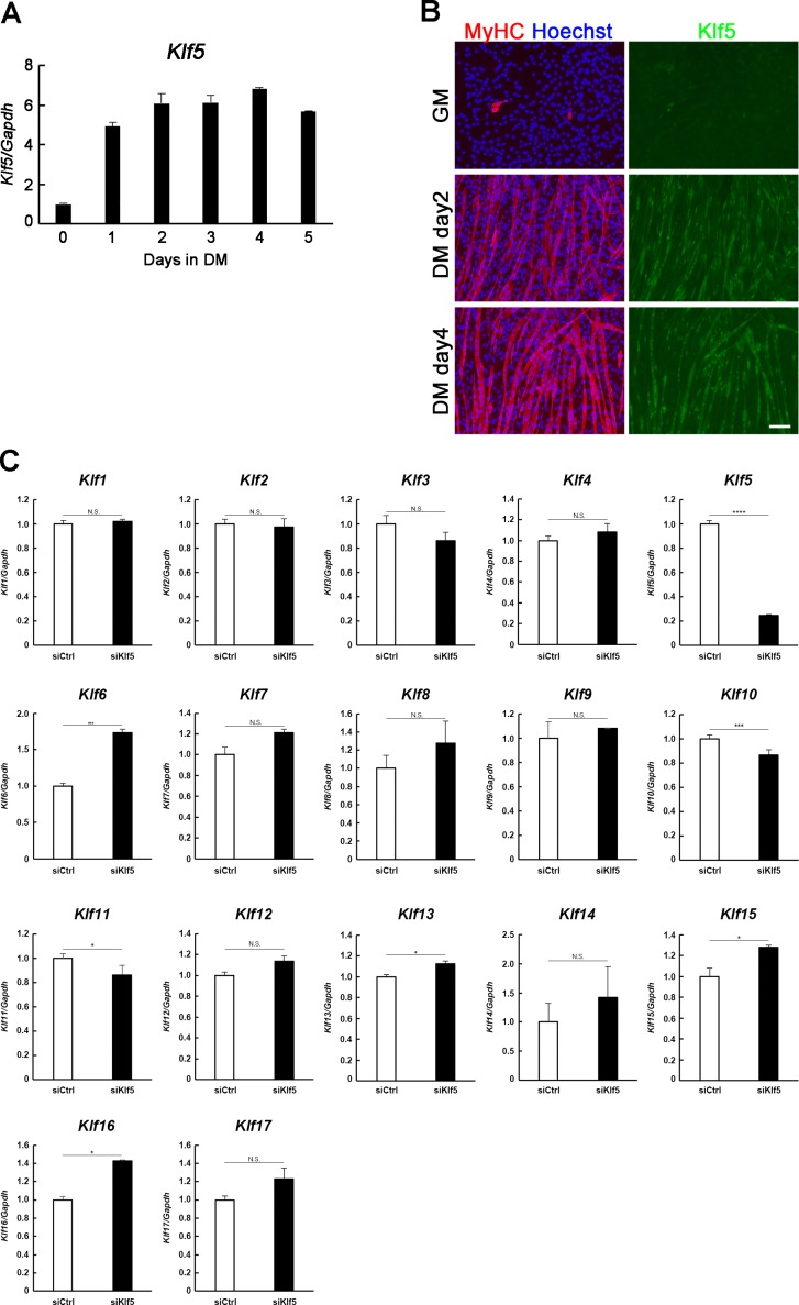 Figure 3—figure supplement 1.