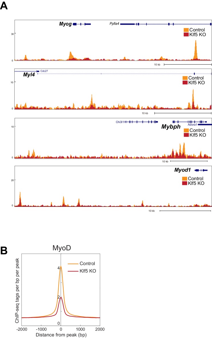 Figure 6—figure supplement 2.