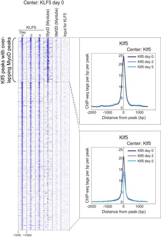 Figure 5—figure supplement 3.