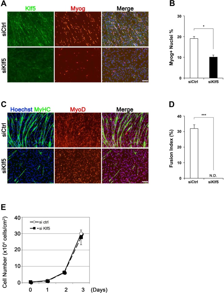 Figure 3—figure supplement 3.