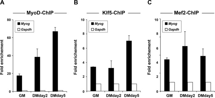 Figure 5—figure supplement 2.