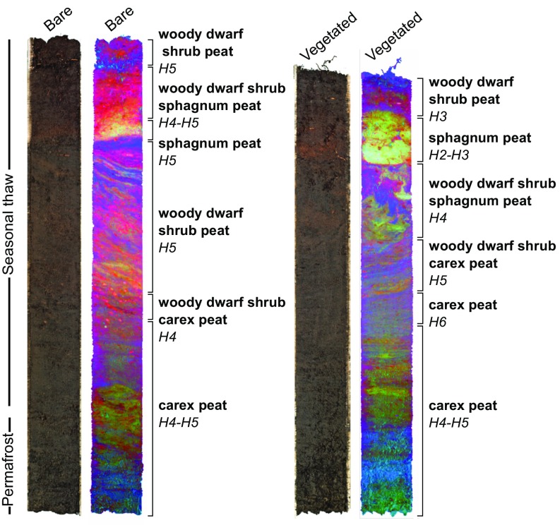 Fig. 4.