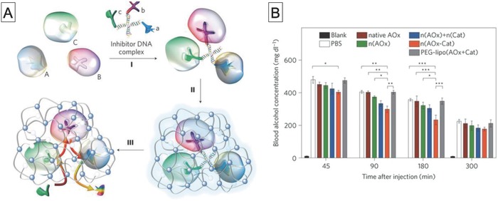 Figure 16