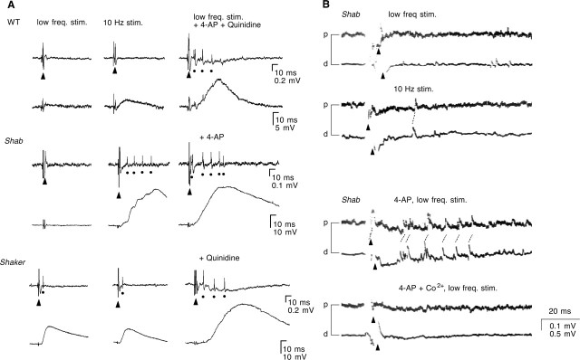 Figure 7.