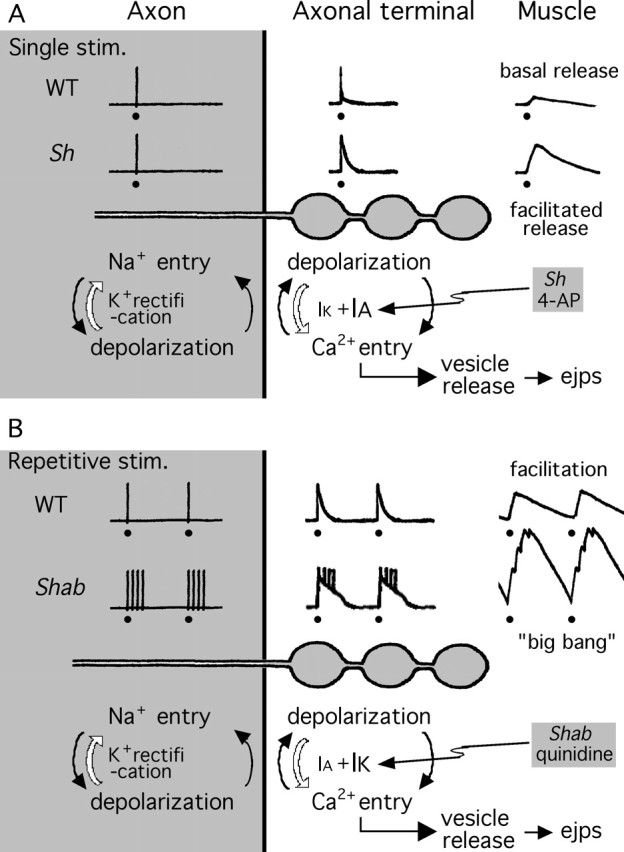 Figure 8.