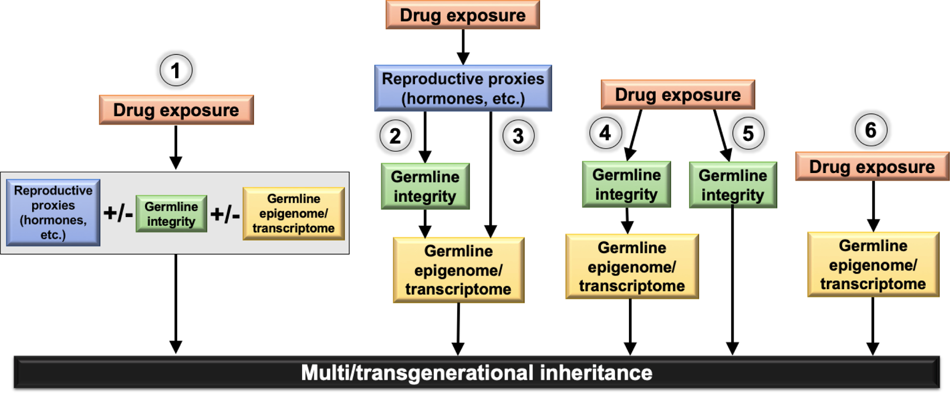 FIGURE 2: