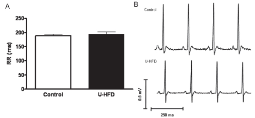 Figure 2)