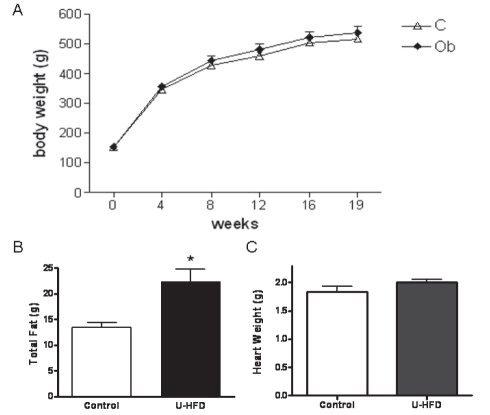 Figure 1)