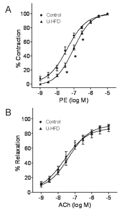 Figure 6)