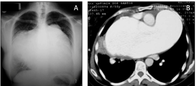 FIGURE 1: