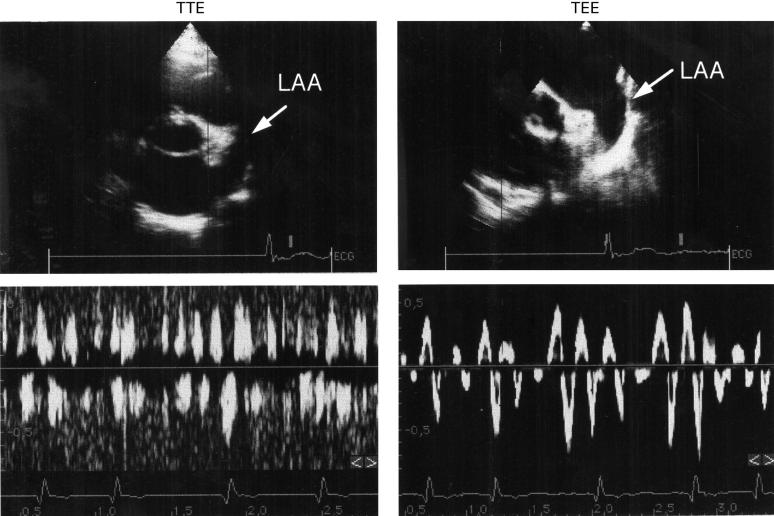 Figure 2  