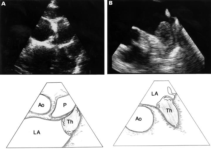 Figure 3  