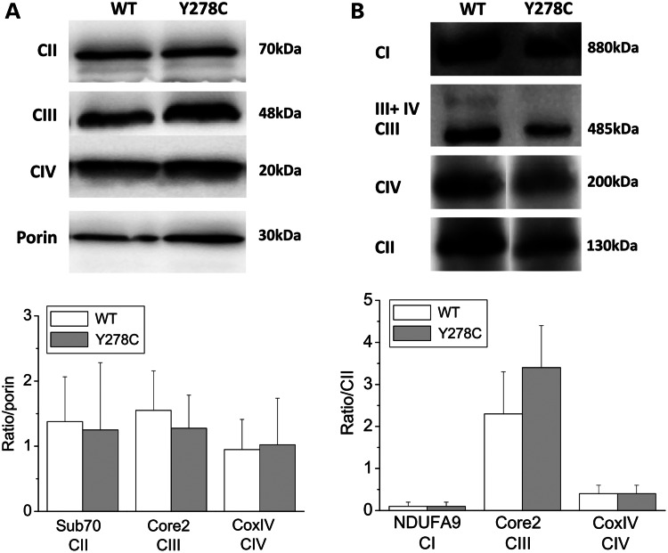 Figure 4.