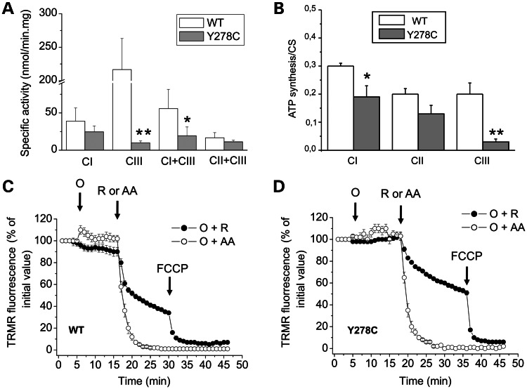 Figure 2.