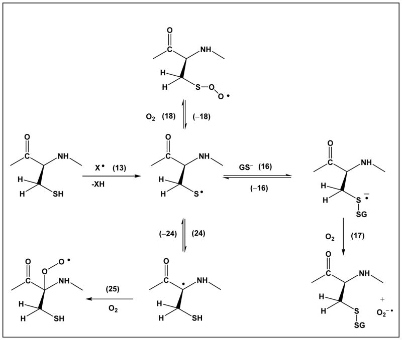 Scheme 3