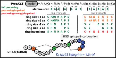 graphic file with name nihms-1027255-f0001.jpg