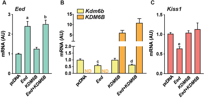 Figure 6