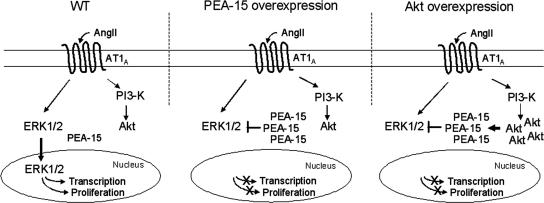 Figure 10.