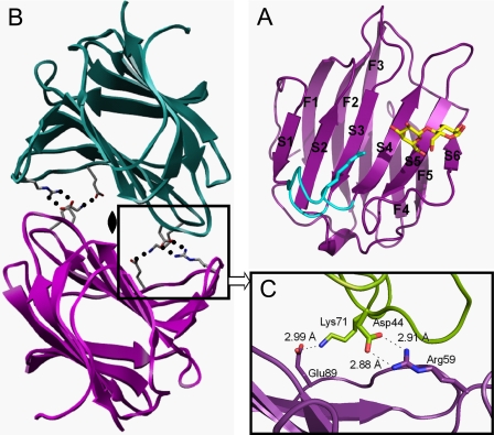 FIGURE 1.