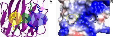 FIGURE 3.