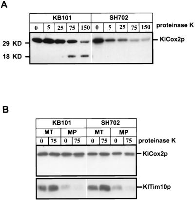 FIG. 11