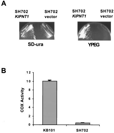 FIG. 10