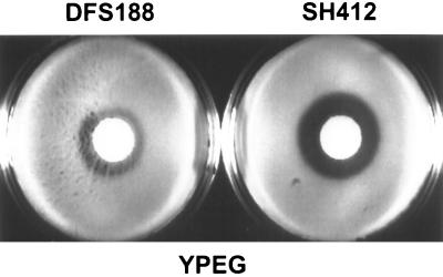 FIG. 9