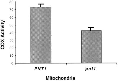 FIG. 7