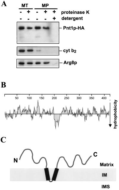 FIG. 5