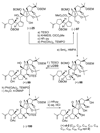 Scheme 19