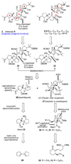 Scheme 6