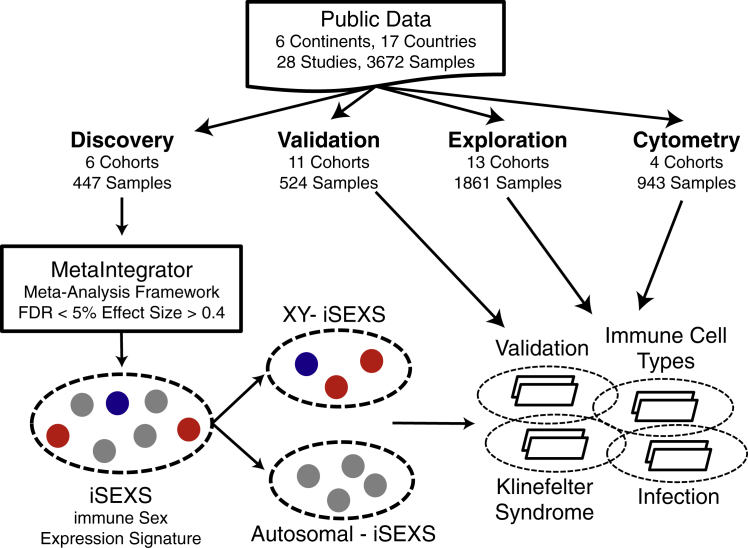 Figure 1