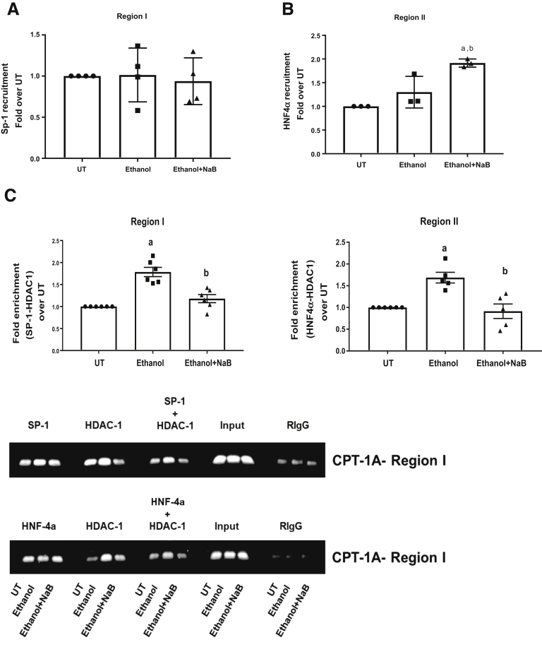 Figure 5