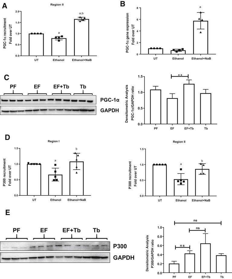 Figure 6