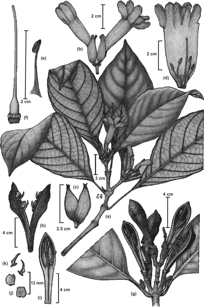 Figure 7.