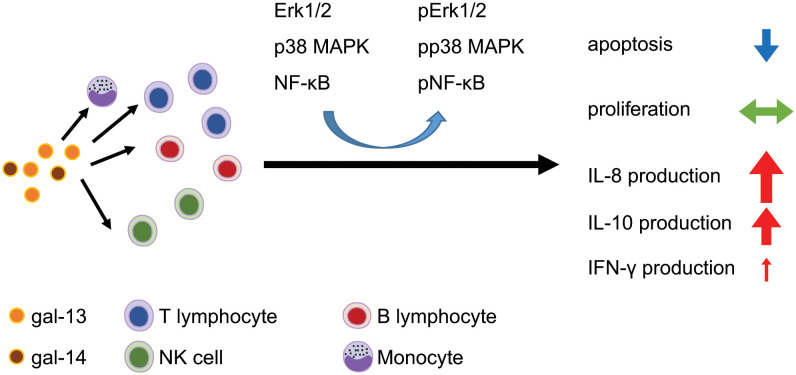 Figure 6