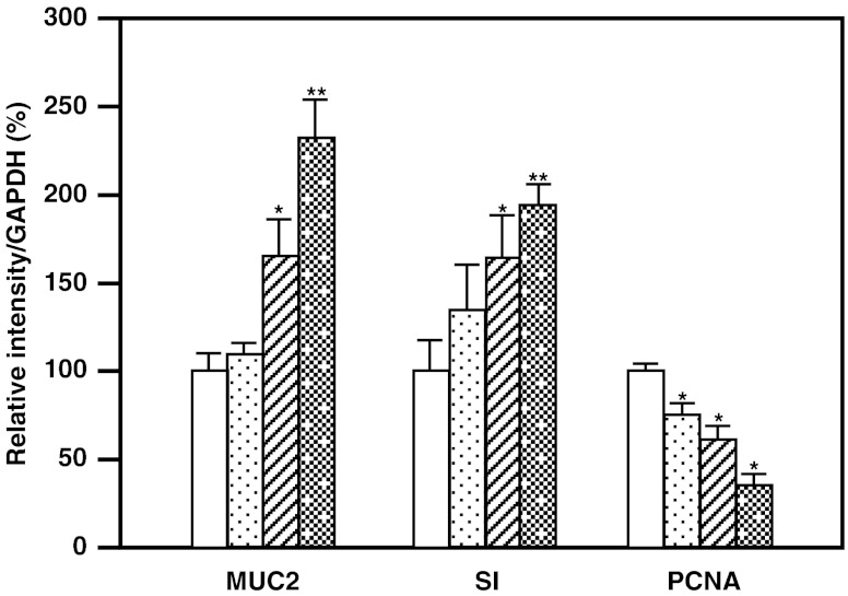 Fig. 5