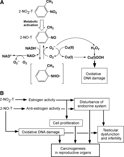 Fig. 6