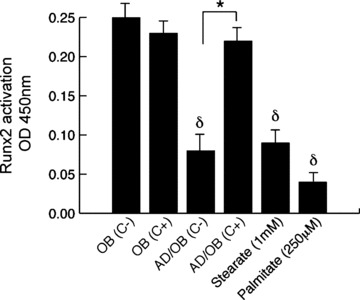 Fig 5