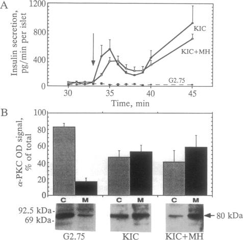 graphic file with name pnas01049-0398-a.jpg