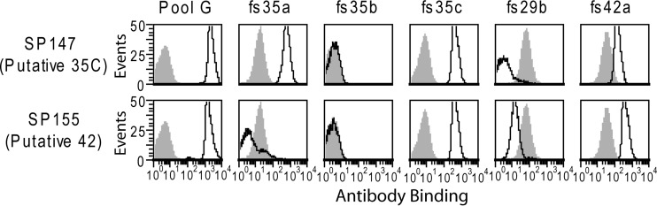 FIG 1