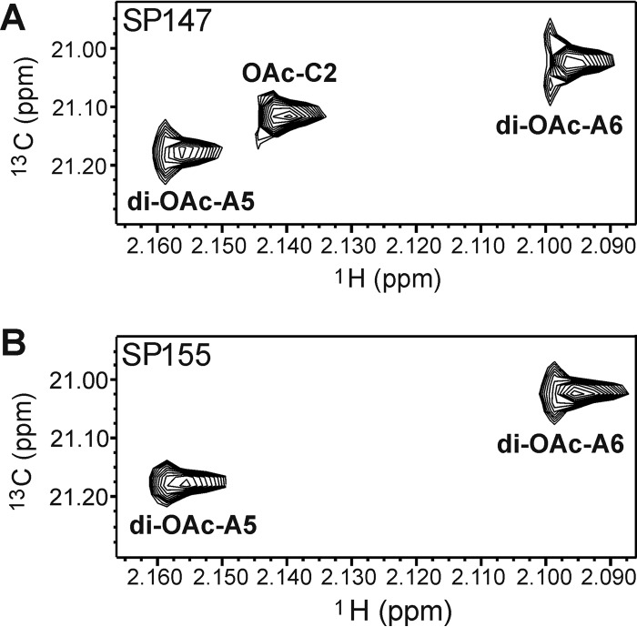 FIG 5