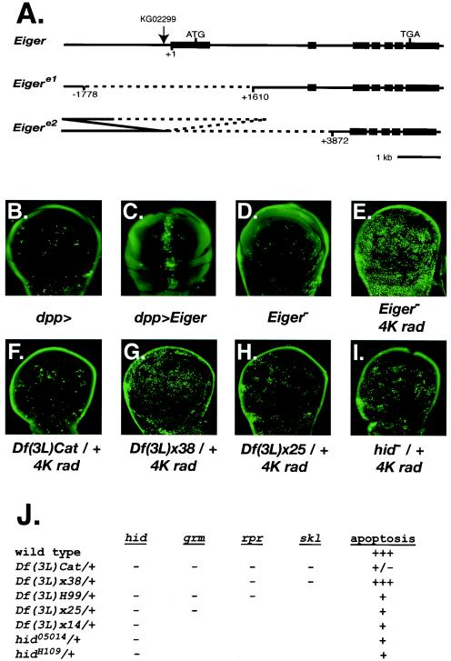 FIG. 5.