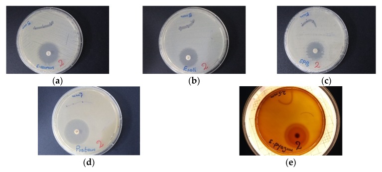 Figure 13