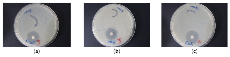 Figure 14