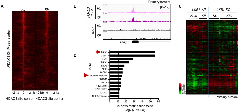 Fig. 2.