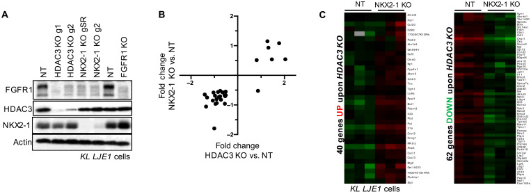 Fig. 3.