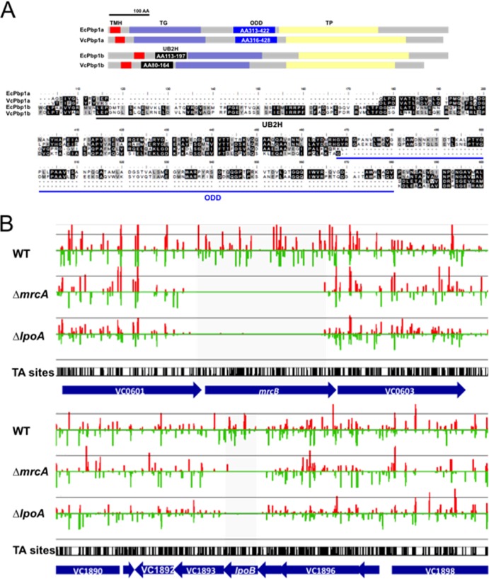 FIG 1