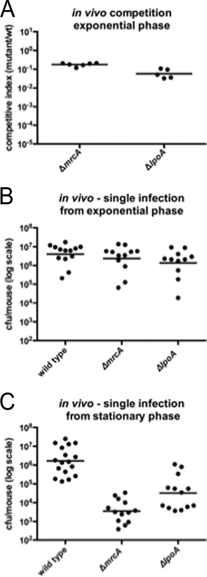 FIG 6