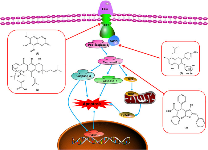 FIGURE 2